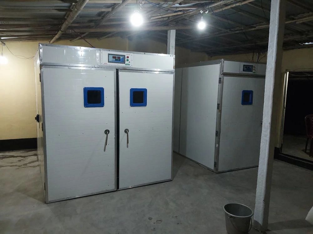 Egg Incubator 15000 Capacity