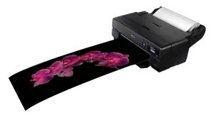 Epson SureColor P 807 Printer