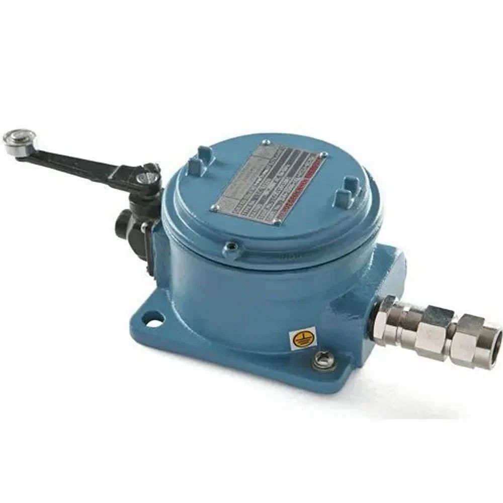 Flameproof Limit Switch, 240 VAC, Application Area: for Packaging