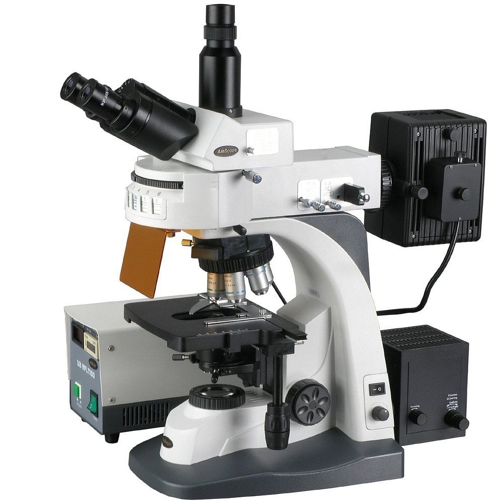 Flourescense Microscope