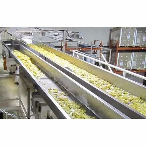 Food Handling Conveyor