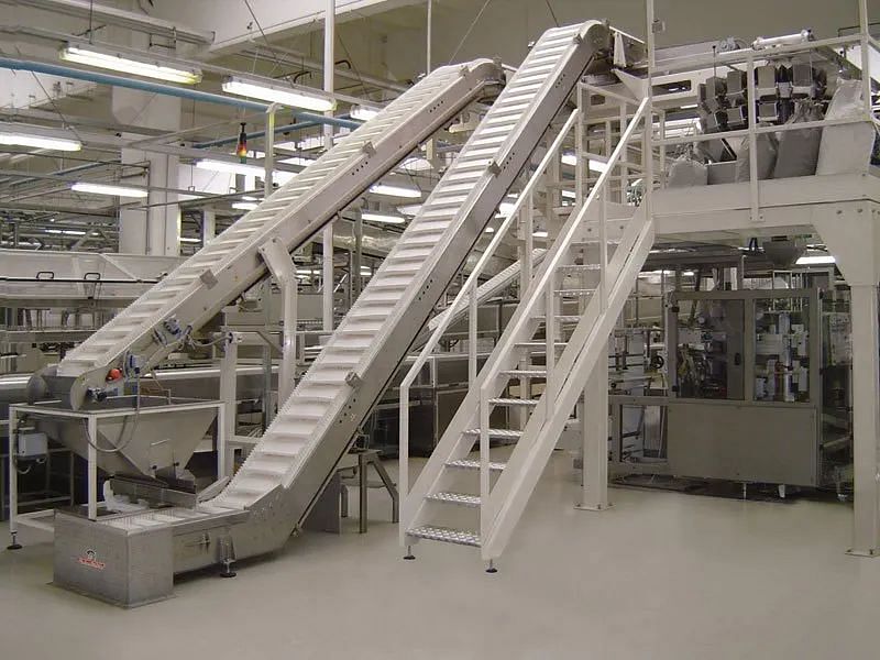 Food Handling Conveyor System, Capacity:  1 to 50, 50 to 100, 100 to 150, 150 to 200 and 200 to 300 kg per feet