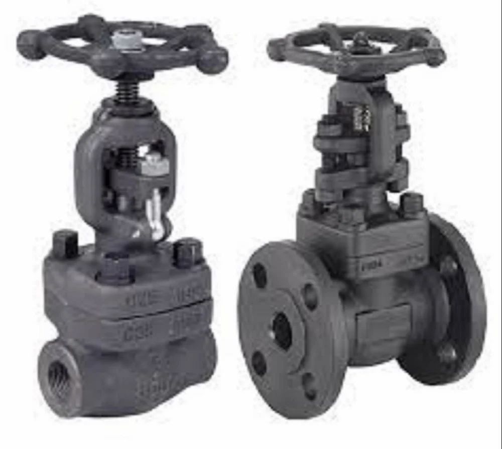 Forged Steel Globe Valve