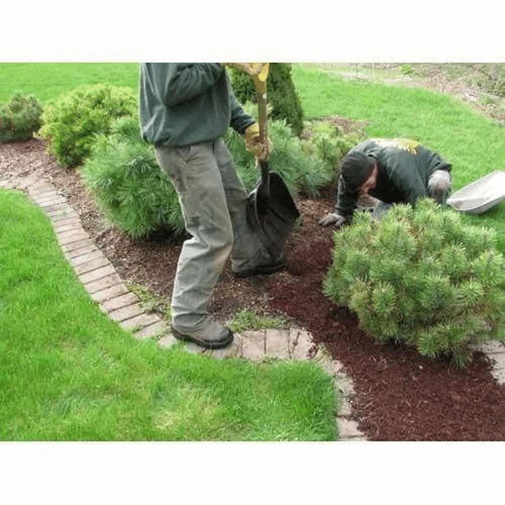 Front Yard Commercial Landscape Services