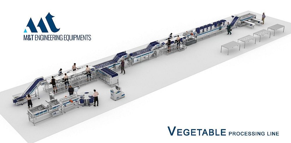 Fruit And Vegetable Processing Machinery-Vegetable Pack House-Grading and Sorting Line