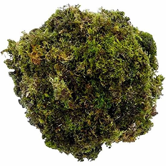 Green Preserved Moss Grass, For Decoration