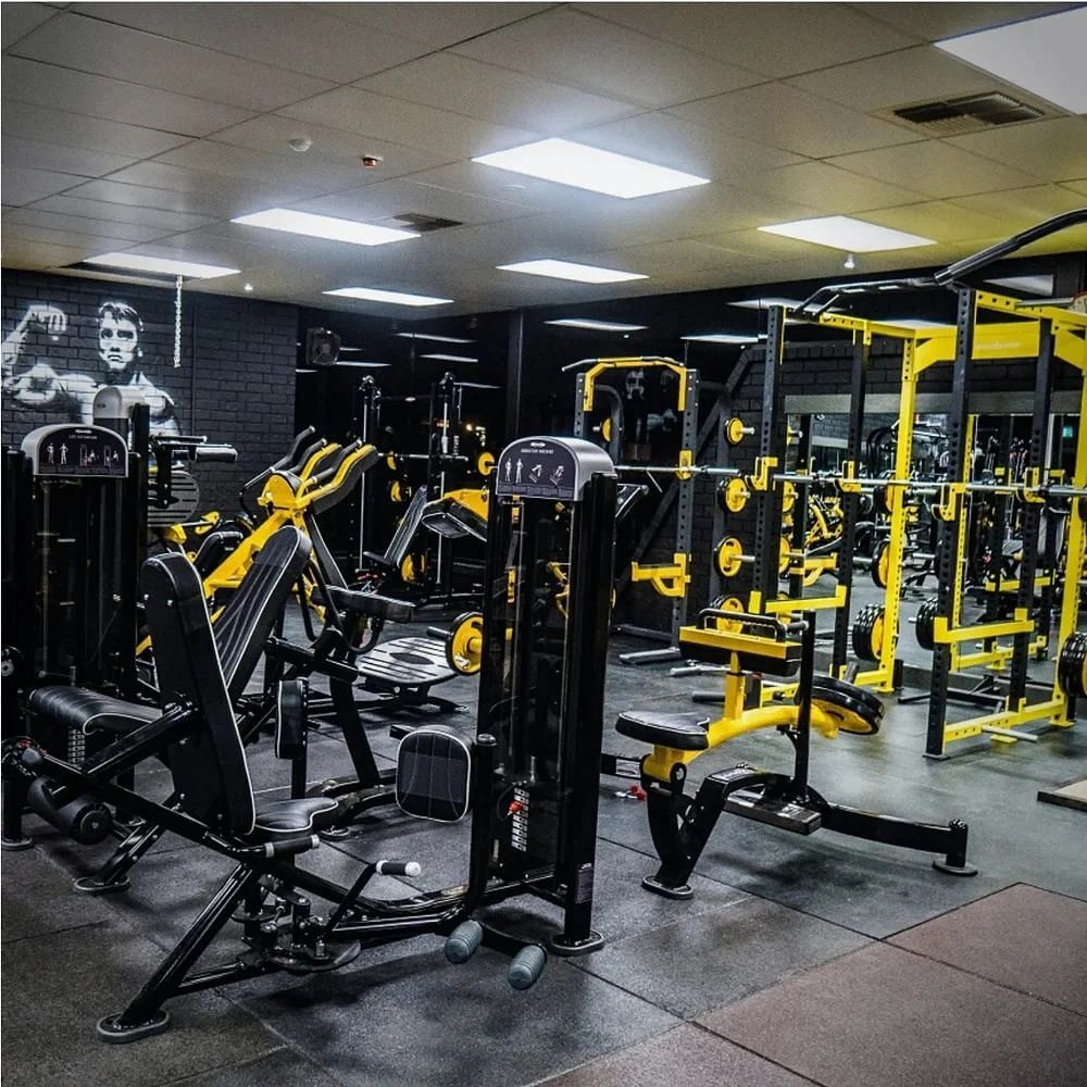 Gym Setup Services