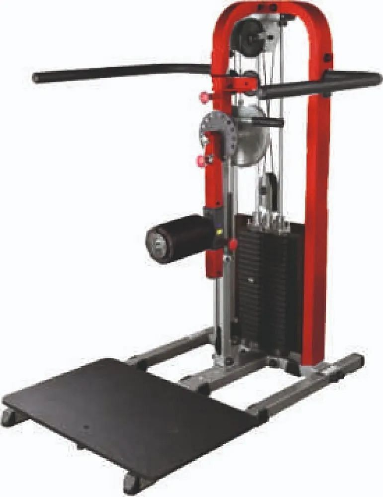 Iron Multi Hips Machine, For Gym