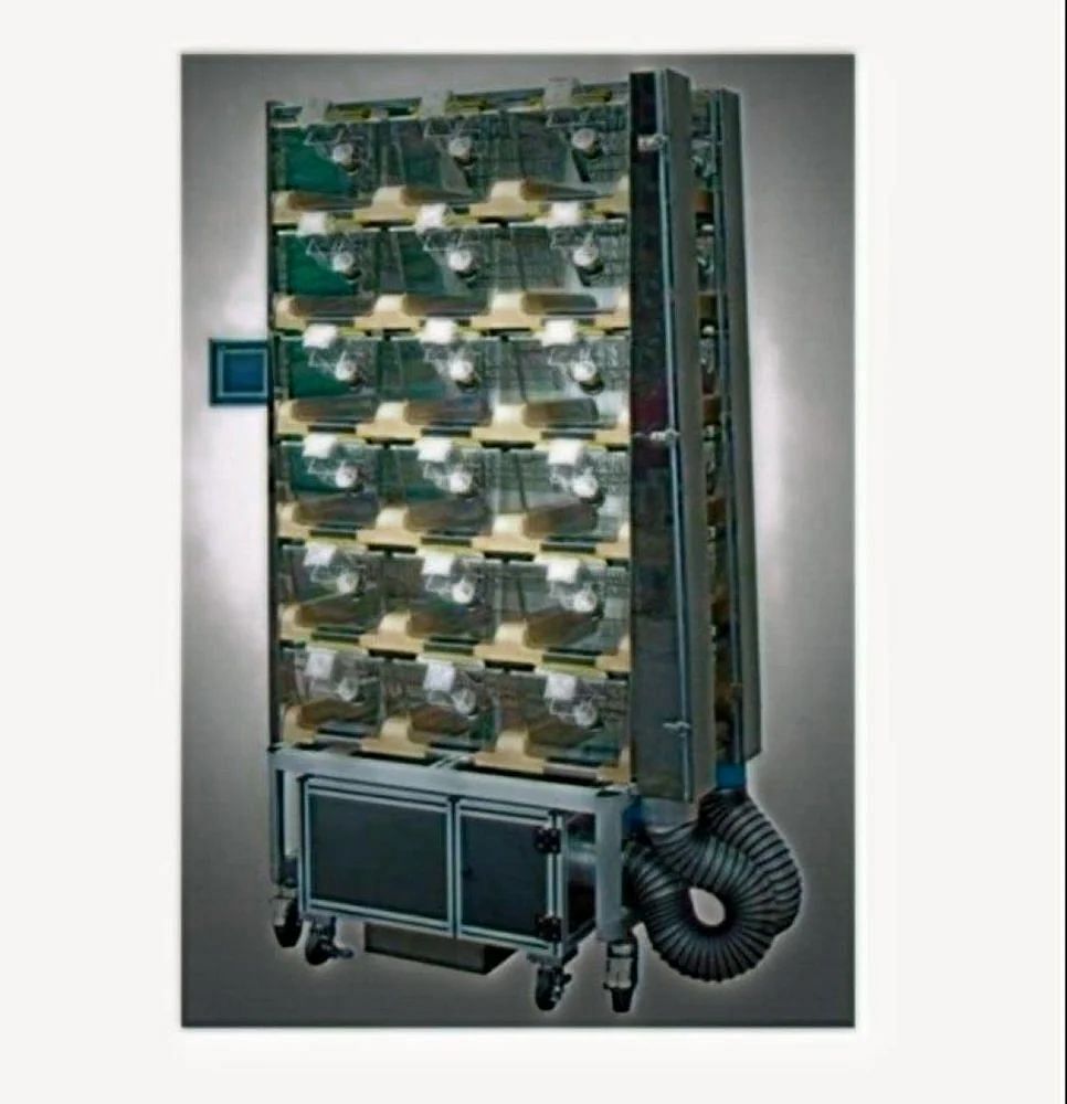 Ivc Caging System - Mice & Rat