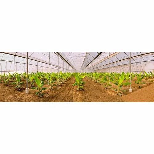 Jain HDPE Poly House Drip Irrigation Systems