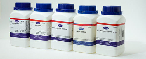 Lactalbumin Hydrolysate Culture Media