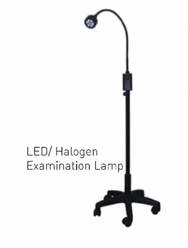 LED And Halogen Examination Lamp