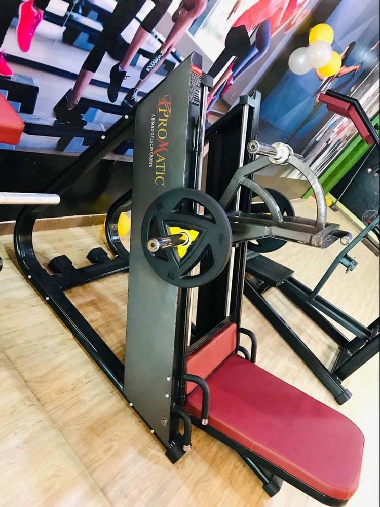 Leg Press Machine, For Gym