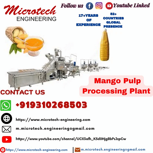 Mango Pulp Processing Plant