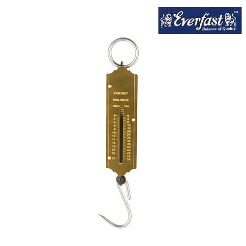 Metal Double Spring Hanging Balance