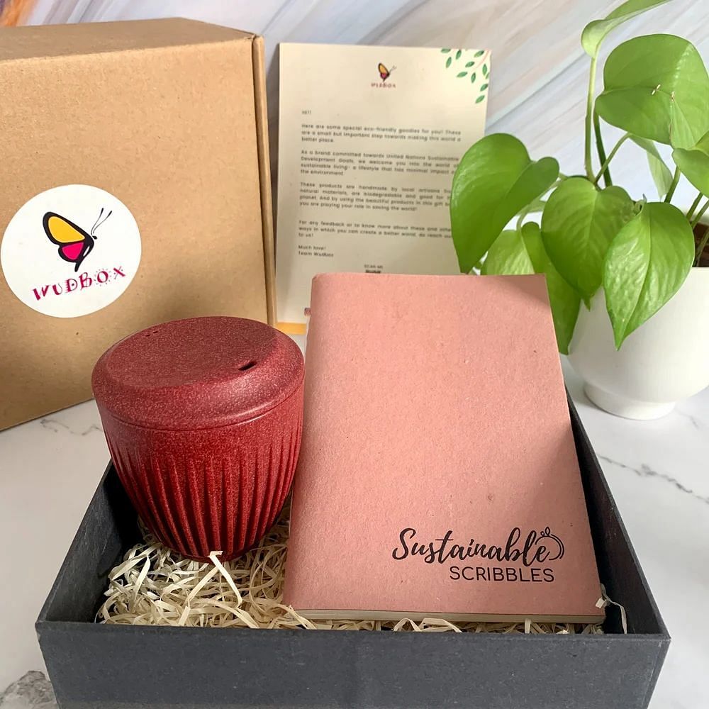 Multicolor Sip & Write Eco Gift Box