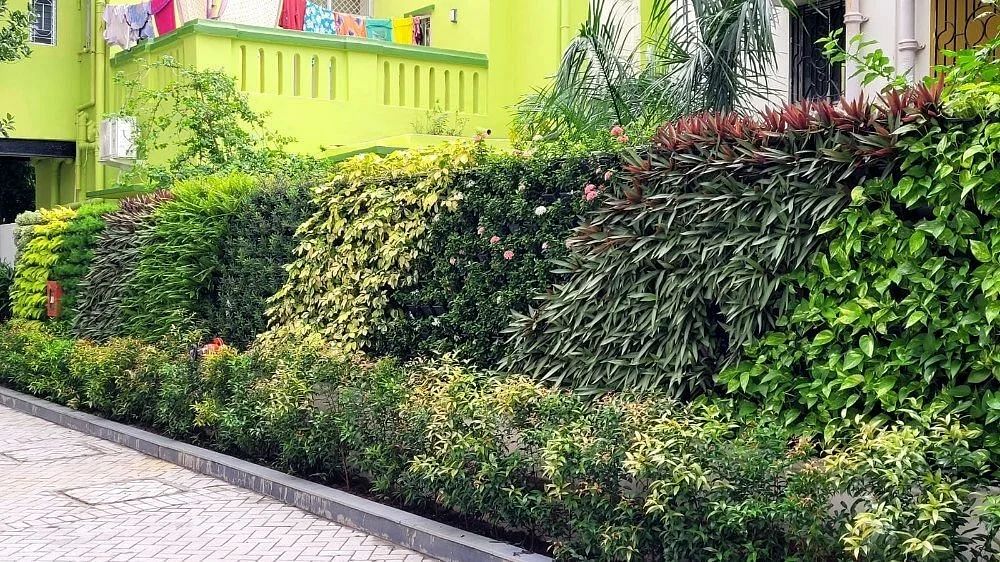 Natural Green Vertical garden kolkata