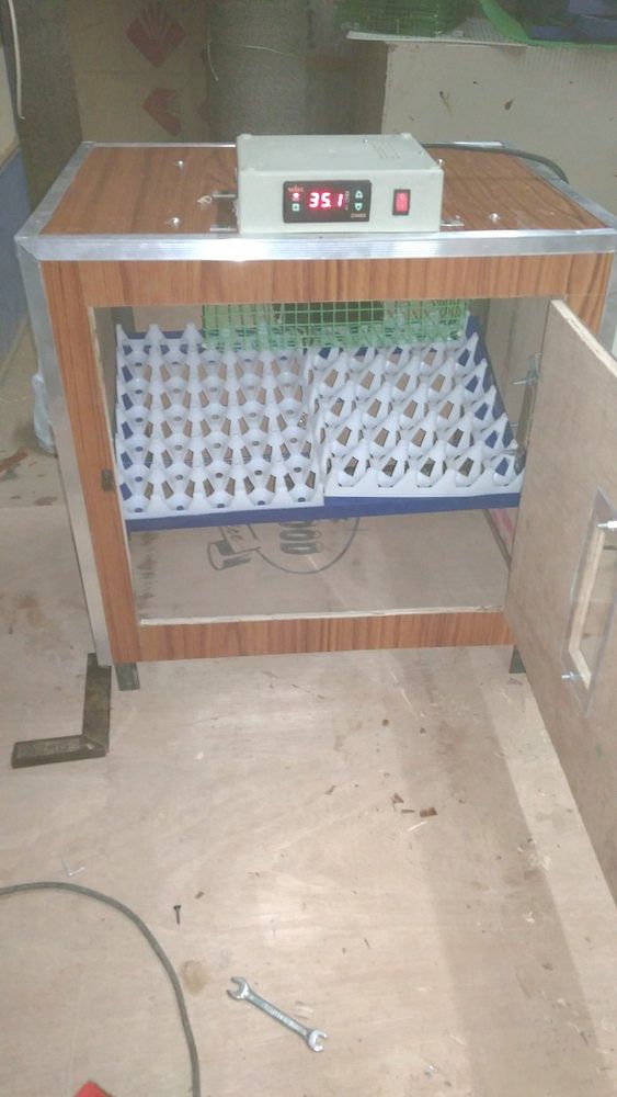 New Egg Incubator Plywood Model, yp001