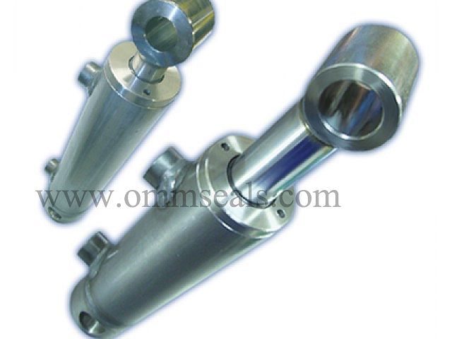 OMM SEALS SS Pin Mounted Hydraulic Cylinder, For Heavy Duty Vehicle Lifting, Model Name/Number: PHC01