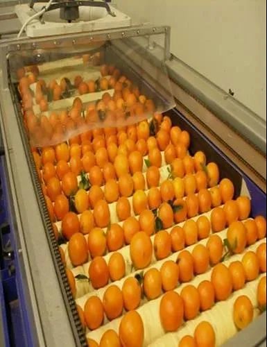 Orange Juice Processing Machinery, For Industrial