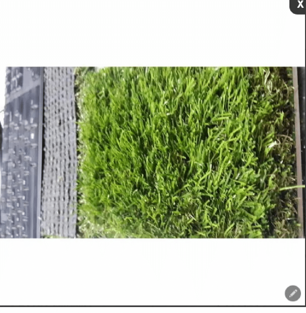 PE Low Cost Artificial Grass