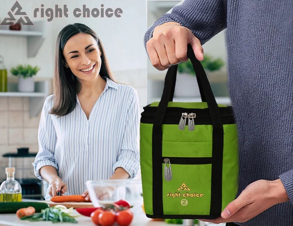 Plain Green Polyester Lunch Box Bag, For College