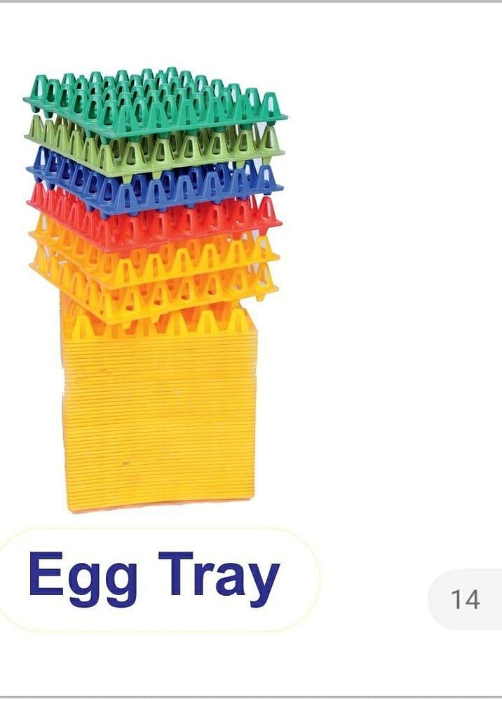 Plastic Egg Tray