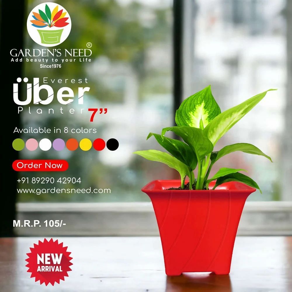 Plastic Everest Uber Pot 07"", For Garden, Size: 7 inch