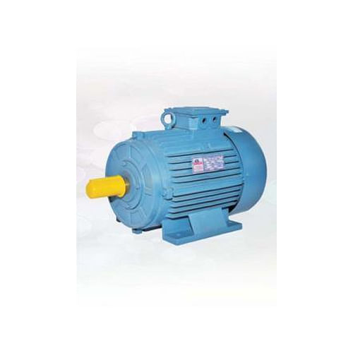 PMS SAVALIA Cast Iron Electric Motor 3 Phase 10 Hp 1500 Rpm B CL, Power: <10 KW, IP Rating: IP21