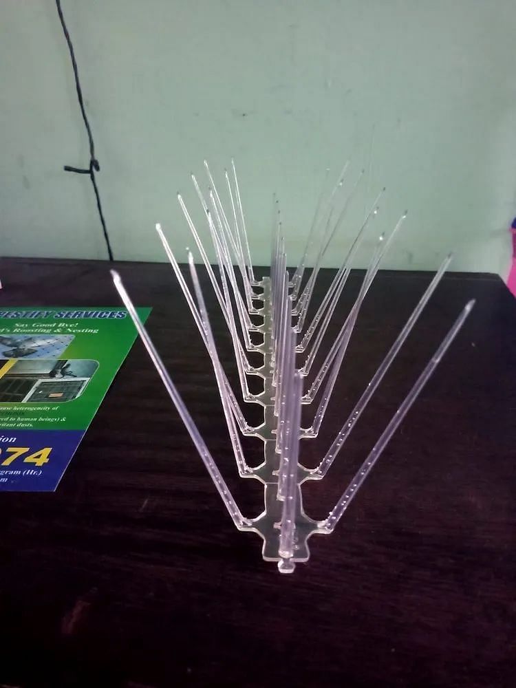 Polycarbonate Anti Bird Spike manufacturer dealers and supplier in Delhi, For Buildings, Size: 13 Inch