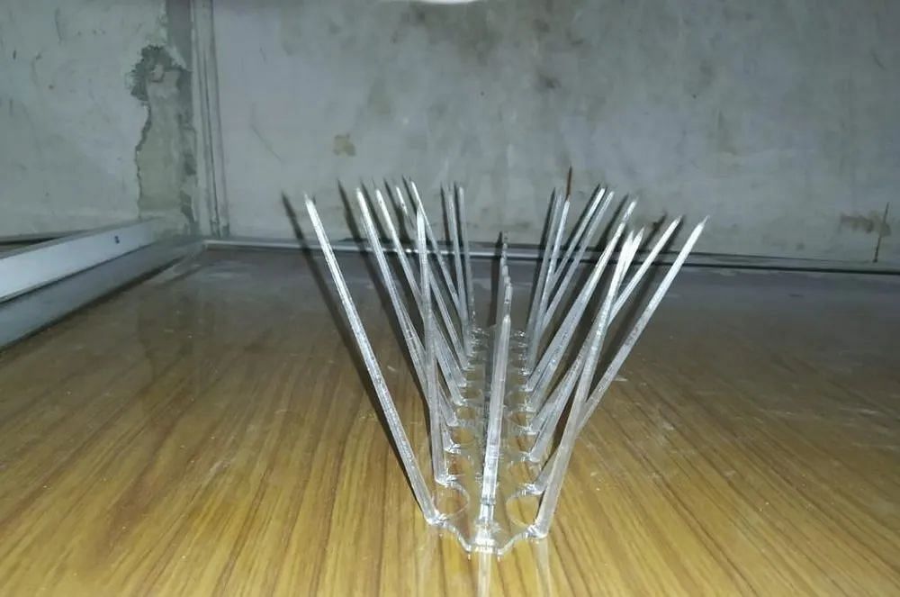 Polycarbonate Bird Spikes, Size: 1 Feet