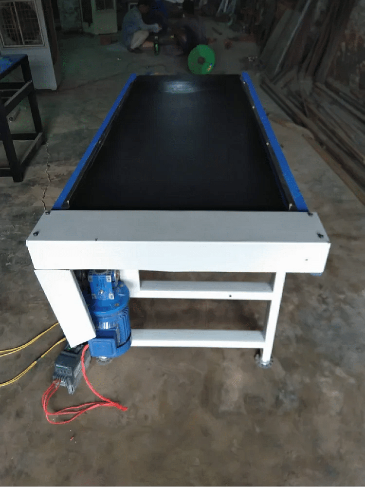 Portable Conveyor System, Load Capacity: 200 kg, Capacity: 100 kg/feet