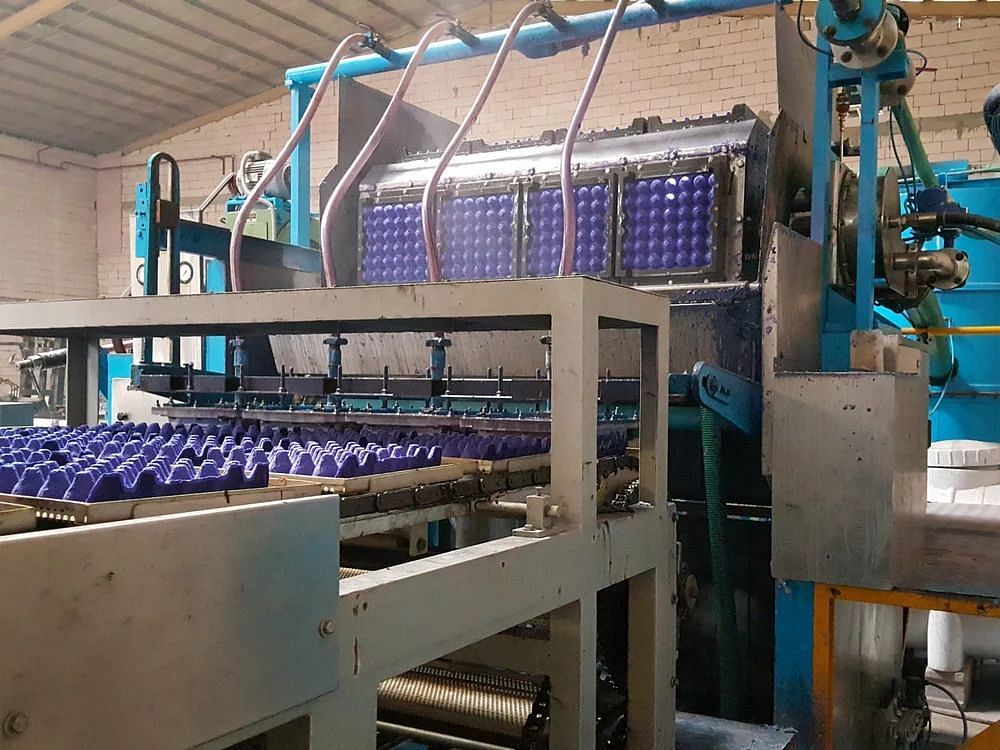 Pulp Egg Tray Moulding Machine