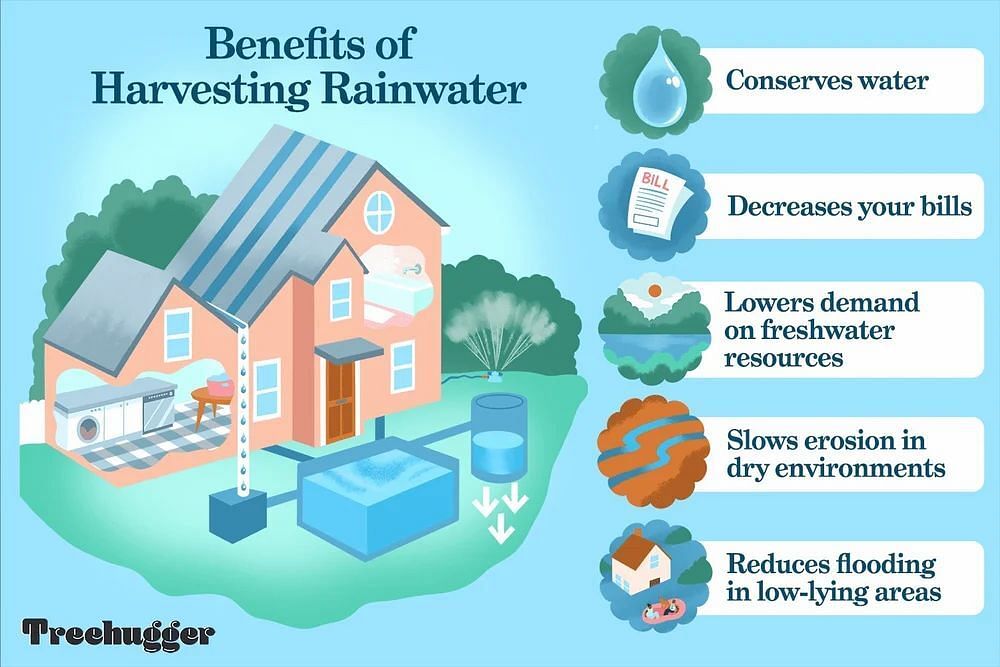 Rainwater Harvesting Services