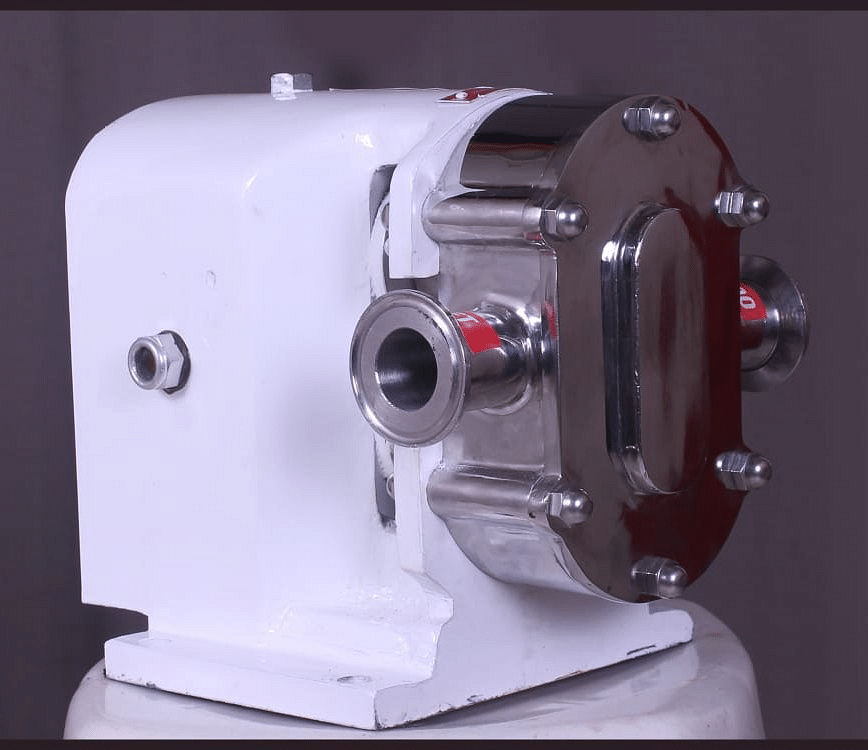 Rotary Lobe Pump, Model Name/Number: EG11