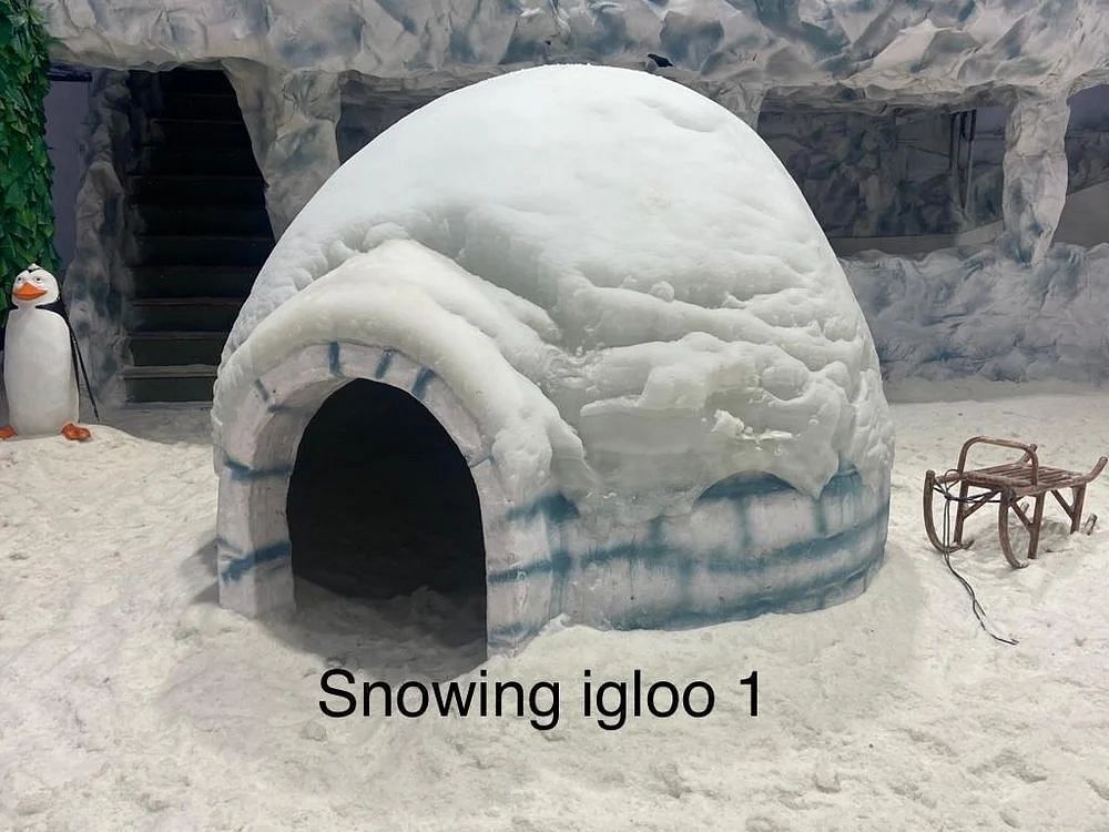 Snow Park Igloo Theme