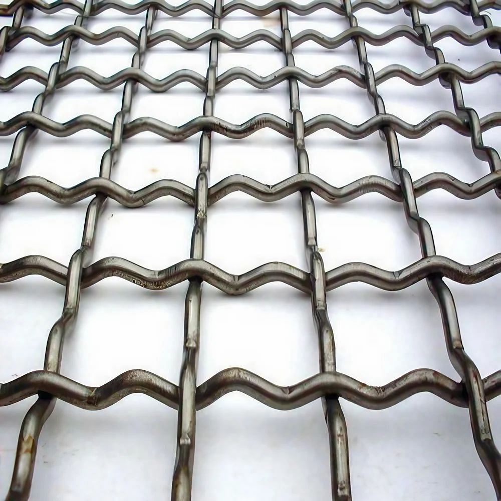 SS Crimped Wire Mesh