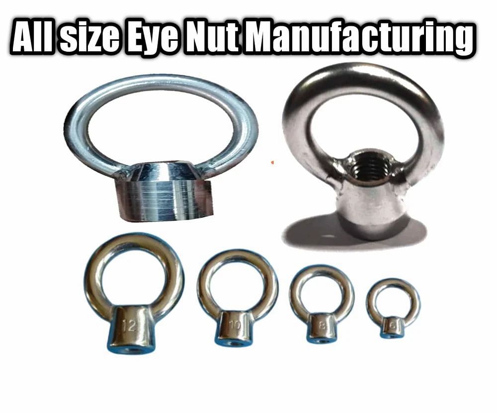 Ss Eye Nut