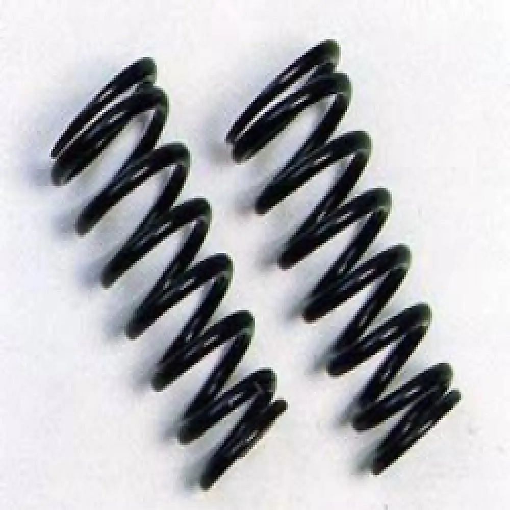 SS Taper Spring