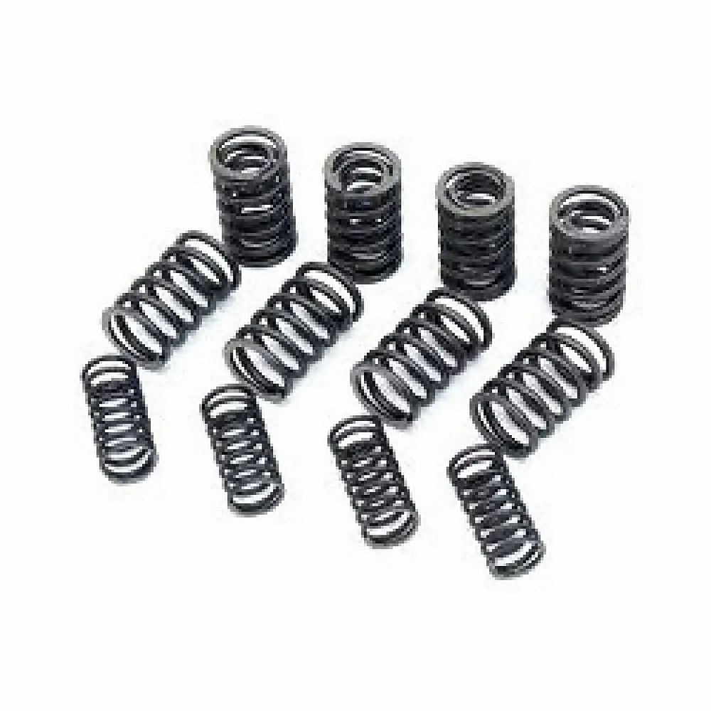 SS Valve Spring