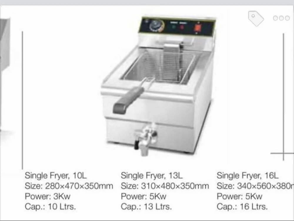 Stainless Steel Deep Fat Fryer