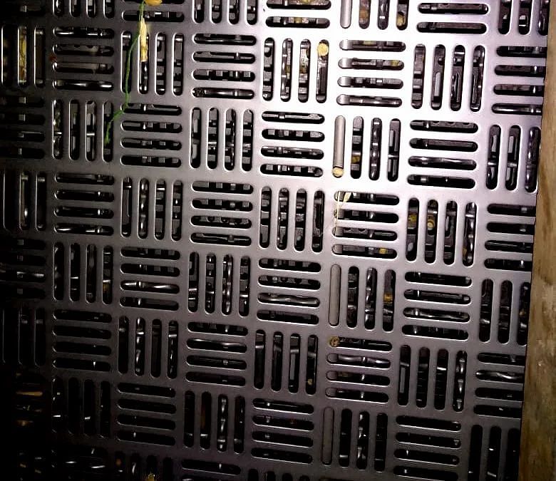 Stainless Steel Perforated Sheets