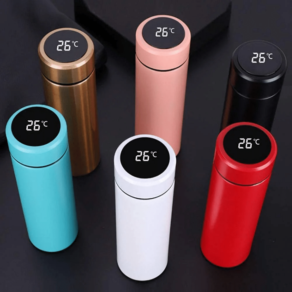 Stainless Steel Temperature Water Bottle, 500 mL