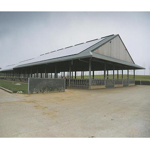 Steel Dairy Farm Roofing Shed