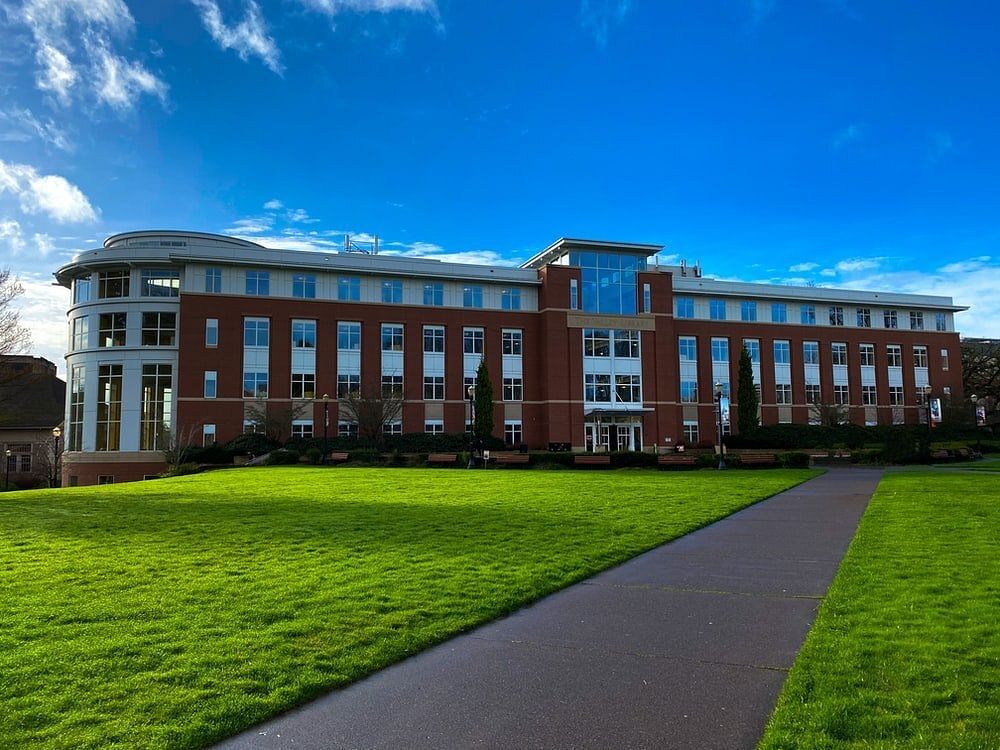 Steel Frame Structures Concrete College Building