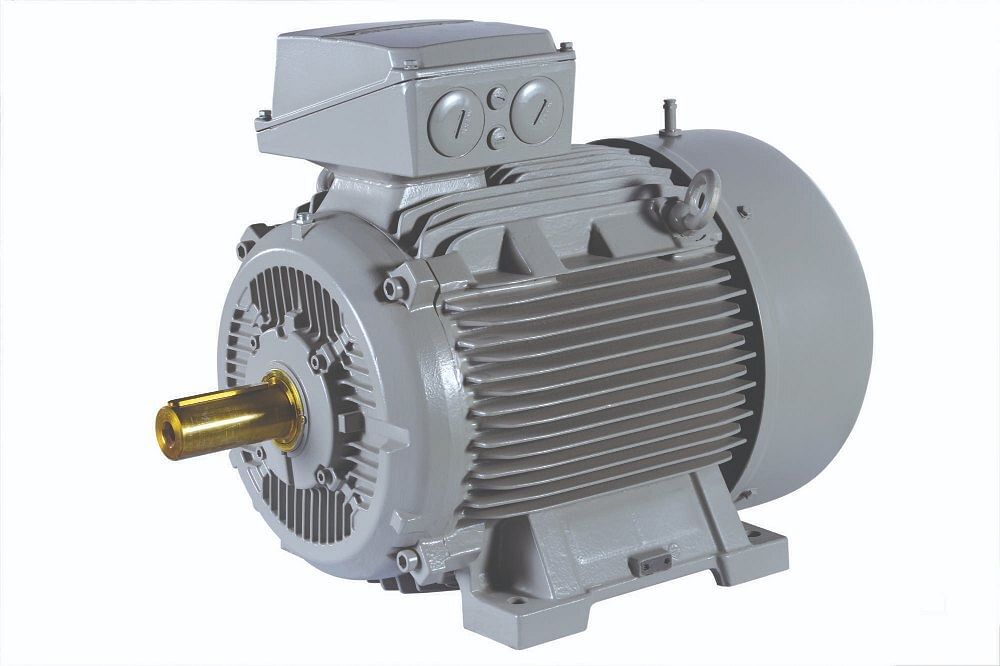 Three Hindustan Inverter Duty Motors