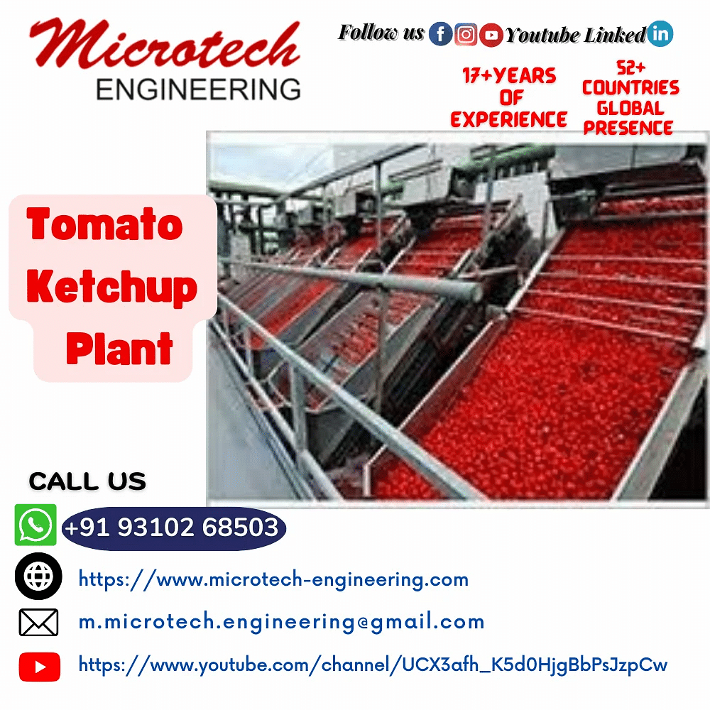 Tomato Ketchup Plant