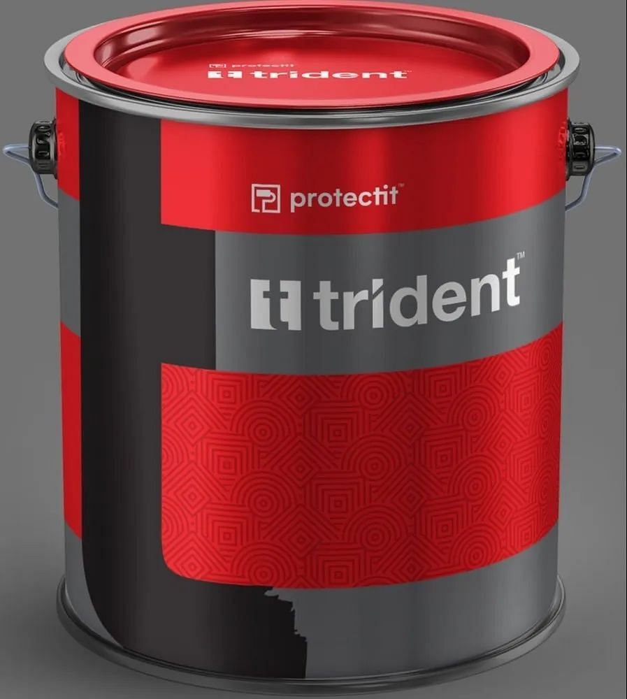 Trident Ready Mix Paint (Heat Resistant), For Metal