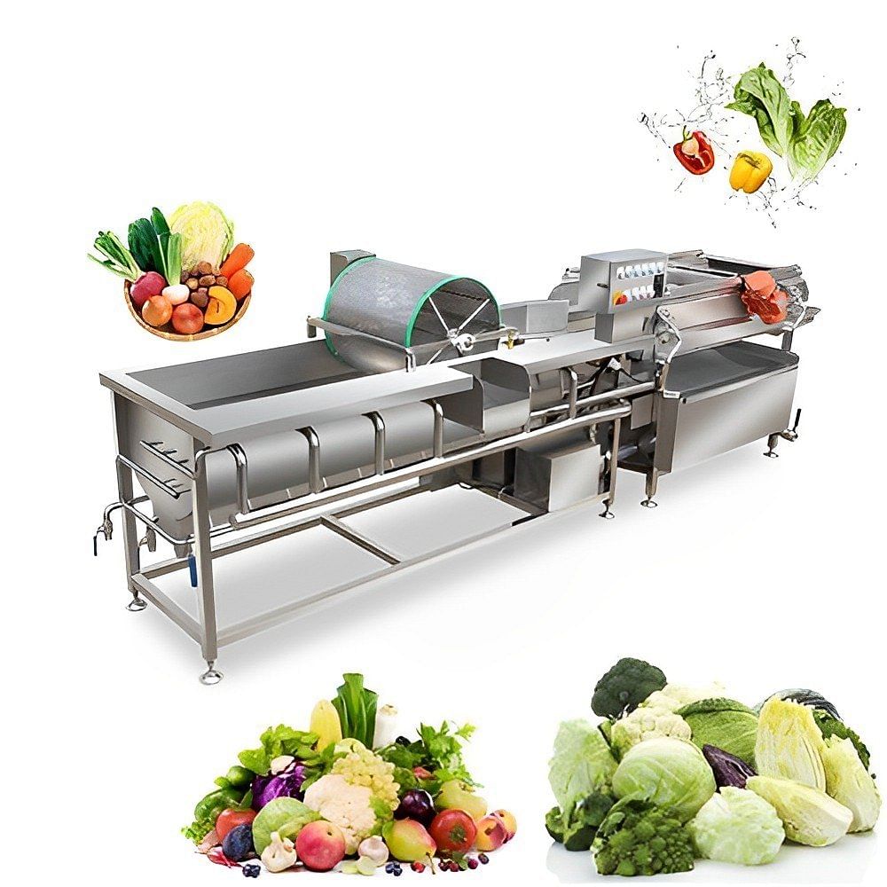 Vegetable and Fruit washer- Voetex Model, 1000 Kg/hr