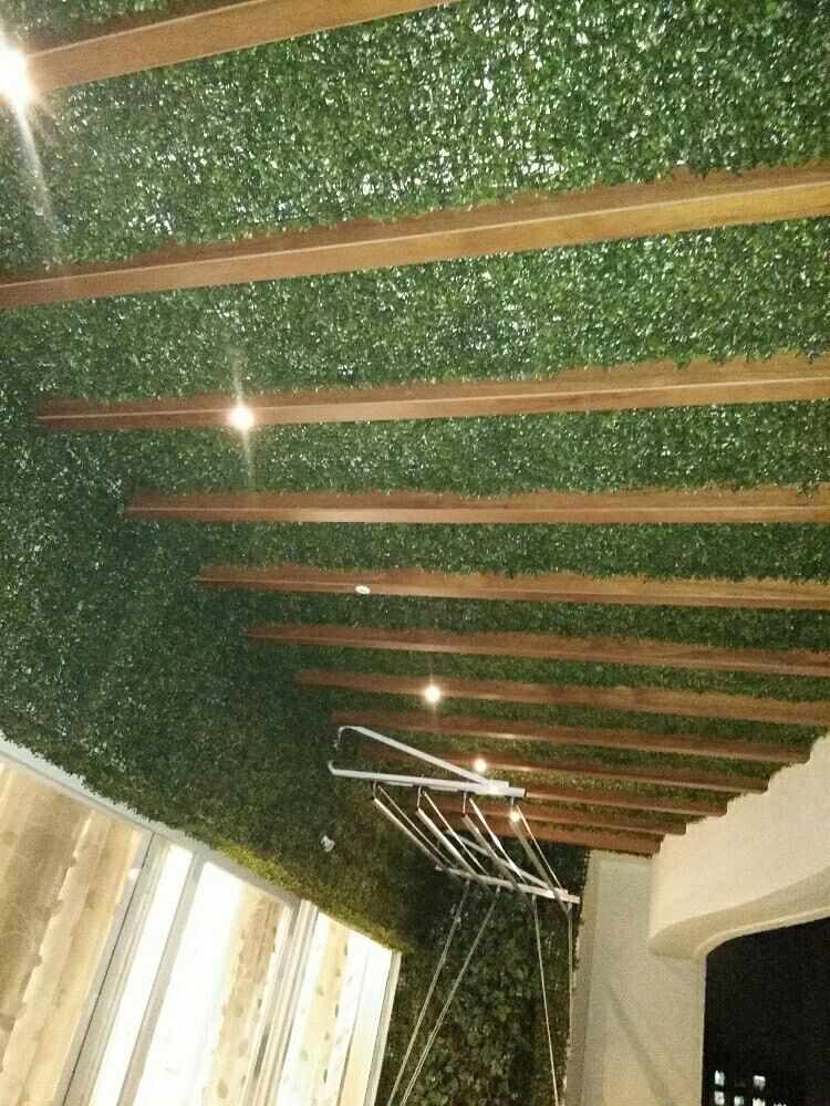 Vertical Garden, For Balcony Walls, Naturaly